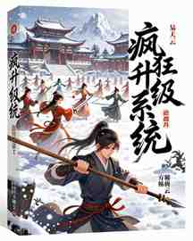 疯狂升级系统